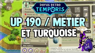 DOFUS RETRO  TEMPORIS  UP 190  METIER FORGEMAGIE amp OBTENTION DU DOFUS TURQUOISE  🥳 [upl. by Eidorb]