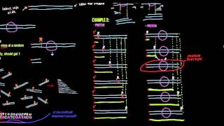 The DNase Footprinting Method Figure 537 [upl. by Belac522]