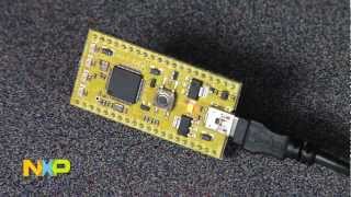 Enabling USBtoSerial with NXP LPC11U00 [upl. by Wynnie]