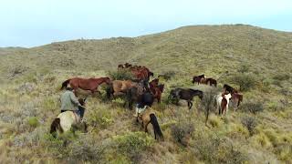 Los Alazanes paraíso de caballos [upl. by Haimaj]