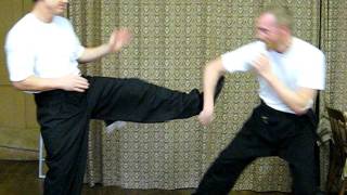 Fung Yang Sau meets Feng Shou Kung Fu  Sifu Darryl Cross [upl. by Arde627]