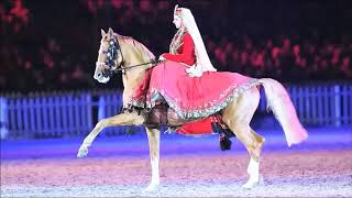 Amazing Dance With Horse [upl. by Land]