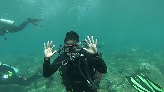 Scuba Diving Kauai HI [upl. by Otrebor198]