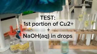 Qualitative Analysis of Cations Salt Analysis [upl. by Thaddaus]