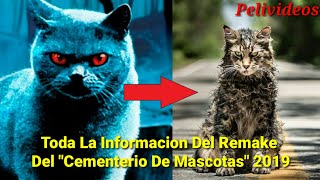 Toda La Informacion Del Remake De quotCementerio De Mascotasquot 2019 [upl. by Elolcin]