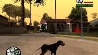 Perro en Gta sa BETA [upl. by Rolyt]