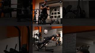 Hyperextension Demonstration For Beginners  Lower Back Exercise For Strength and Muscle Building [upl. by Eeryk]