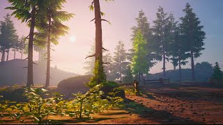 C5 Boreal Forest Morning  Fortnite Ambience [upl. by Stalker]