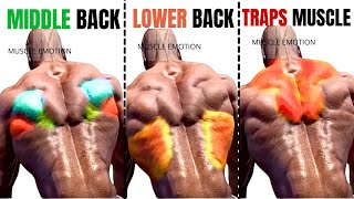 TOP 6 LAT MIDDLE BACK TRAPS WORKOUT WITH DUMBBELLS CABLE AND MACHINE AT GYM [upl. by Ennayr74]