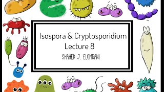 9 Isospora Belli amp Cryptosporidium Parvum [upl. by Arlen]