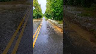 Tropical Storm Causing Unseen Flooding Beaver Dam Creek Flooded My Yard shorts [upl. by Stanton]