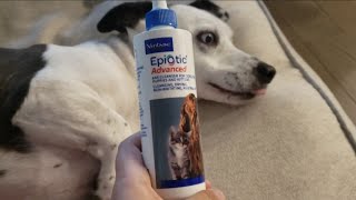 Reviewing EpiOtic Advanced Ear Cleanser for Dogs and Cats [upl. by Aidas]