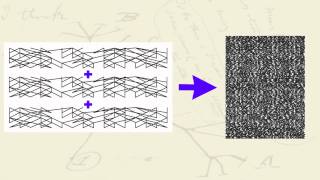 Tree Thinking Basics [upl. by Alrad]