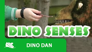 Dino Dan Treks Adventures  Team DinoUse Your Dino Sense 44 [upl. by Donaghue]