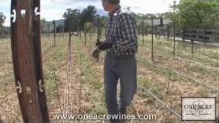 One Acre Napa Valley  Yountville AVA Episode 4  Trellising [upl. by Hnahk]