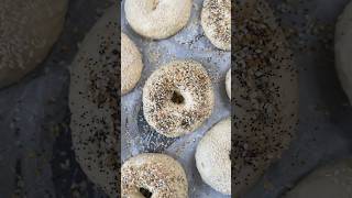 Homemade bagels dinning dining food bagels [upl. by Ila550]