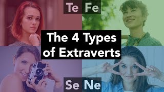 The 4 Types of Extraverts [upl. by Gambell295]