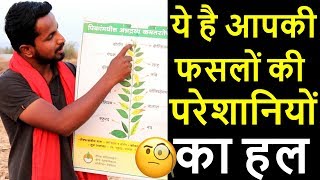 सारी दिक्कतों की जड़ यही है😰😰Nutrient Deficiencies in Crops Explained  Indian Farmer [upl. by Jasmina]