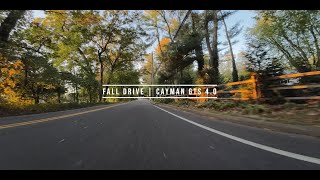 718 Cayman GTS 40 Fall Drive Binaural Audio [upl. by Aniuqal]