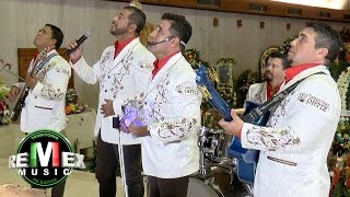 Los Liricos Jr  La guadalupana Serenata a la virgen de Guadalupe [upl. by Llenrahc121]