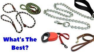 The 6 Types Of Dog Leashes Which Type Should You Be Using For Your Dog [upl. by Noved]