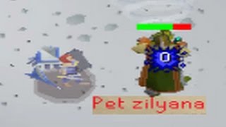 Best Sara Pet Drop Reaction  Oldschool RuneScape 2007 [upl. by Druci977]