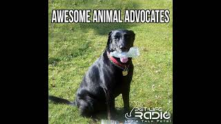 Awesome Animal Advocates  Episode 59 HSUS Spokesperson Answers Critics [upl. by Baylor239]