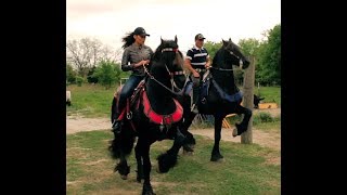 Alejandra Rojas quotRancho El Caprichoquot Austin Texas 2019 [upl. by Rowley]