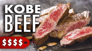 I Tried Kobe Beef for the First Time  A5 Japanese Wagyu [upl. by Alesi]