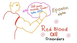 Erythropoietin EPO amp Red Blood Cells RBCs  Oxygenation  Endurance  Exercise [upl. by Gildas]