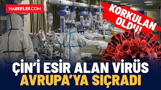 Çini Esir Alan Virüs Avrupaya Sıçradı [upl. by Lada]