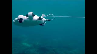 Most People dont understand they can dive down to 300 feet with an underwaterdrone underwater [upl. by Pelletier760]