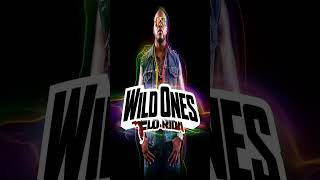 Wild Ones  Flo Rida [upl. by Ettenad407]