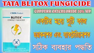 Tata Blitox Contact Fungicide ব্যবহার বিধি I copper oxichloride কেন স্প্রে করবেন।দারুন ছত্রাক নাশক I [upl. by Rickert]