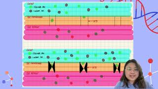 Pathophysiology and Pharmacology CF [upl. by Calderon850]