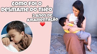 COMO FOI O DESMAME DO THÉO  3 ANOS DE AMAMENTAÇÃO  DICA PARA O DESMAME [upl. by Lorna]