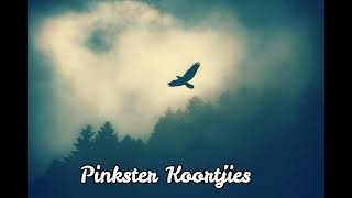 Pinkster KoortjiesHy soo Wonderbaar vir My [upl. by Ivie706]