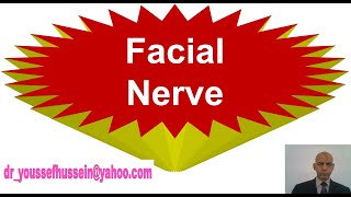 Facial nerve  Chorda tympani  Greater petrosal nerve  Facial palsy  Bells palsy [upl. by Enirod]