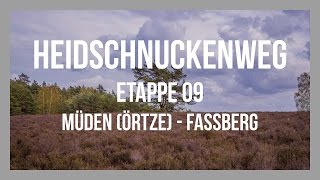 Heidschnuckenweg  Etappe 09  Müden Örtze  Fassberg  Lüneburger Heide  GPSTrack [upl. by Dupin]