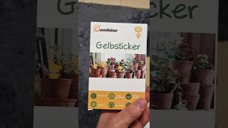 schützt von insekten Gelbsticker  Außeninsekten  Fliegenkontrolle [upl. by Ahseiyn]