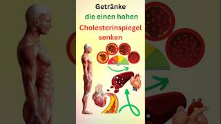 Getränke die einen hohen Cholesterinspiegel senken [upl. by Clerk]