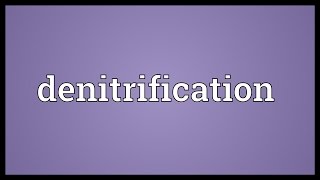 Denitrification Meaning [upl. by Shimberg17]