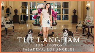 Experience Luxury with Your Pup at The Langham in Pasadena Californina [upl. by Lisa]