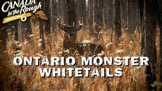 Ontario Monster Whitetails  Web Exclusive Mature Deer Hunt [upl. by Normandy]