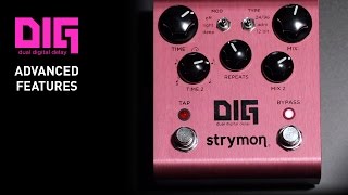 Strymon DIG Dual Digital Delay  Advanced Features [upl. by Nileek700]