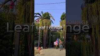 Leaf Lounge Restaurant travel travelvlog traveling restaurant entertainment enjoy [upl. by Keare279]