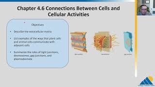 BIOL201 Ch46  Connections Between Cells and Cellular Activities  OpenStax Biology [upl. by Cherice177]