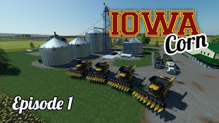 BIG Corn Harvest in Iowa  Flint Hills US Map  Farming Simulator 19 [upl. by Airebma]