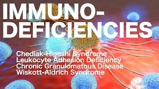 ChediakHigashi vs Chronic Granulomatous vs Leukocyte Adhesion vs WiskottAldrich [upl. by Inaniel]