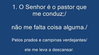 SALMO 22 23  O SENHOR É O PASTOR QUE ME CONDUZ [upl. by Eolc]